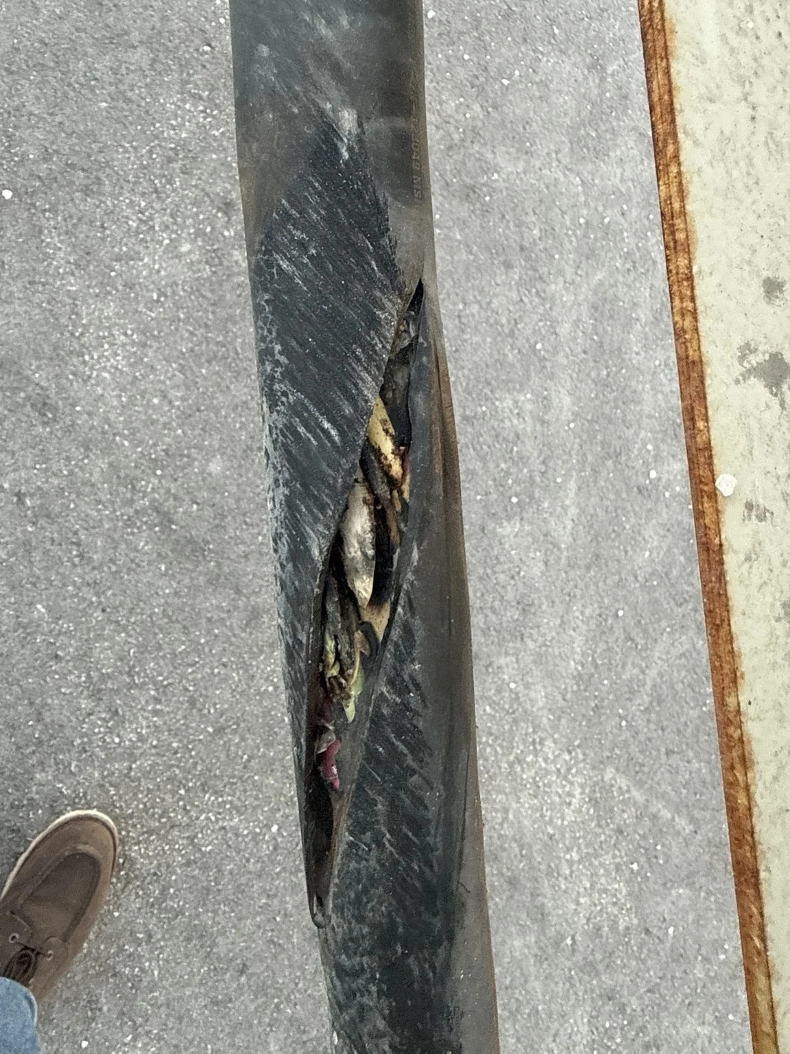 Damaged outer jacket and exposed interior of the conveyor’s flexible power cable.