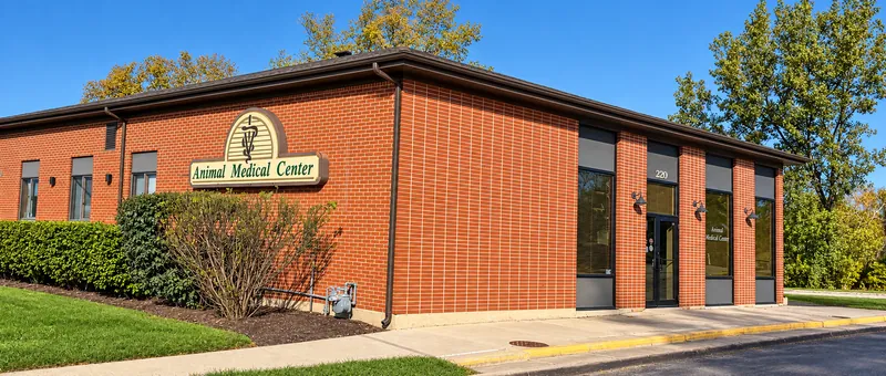 Animal Medical Center of Itasca — 220 Catalpa Avenue, Itasca, Illinois.