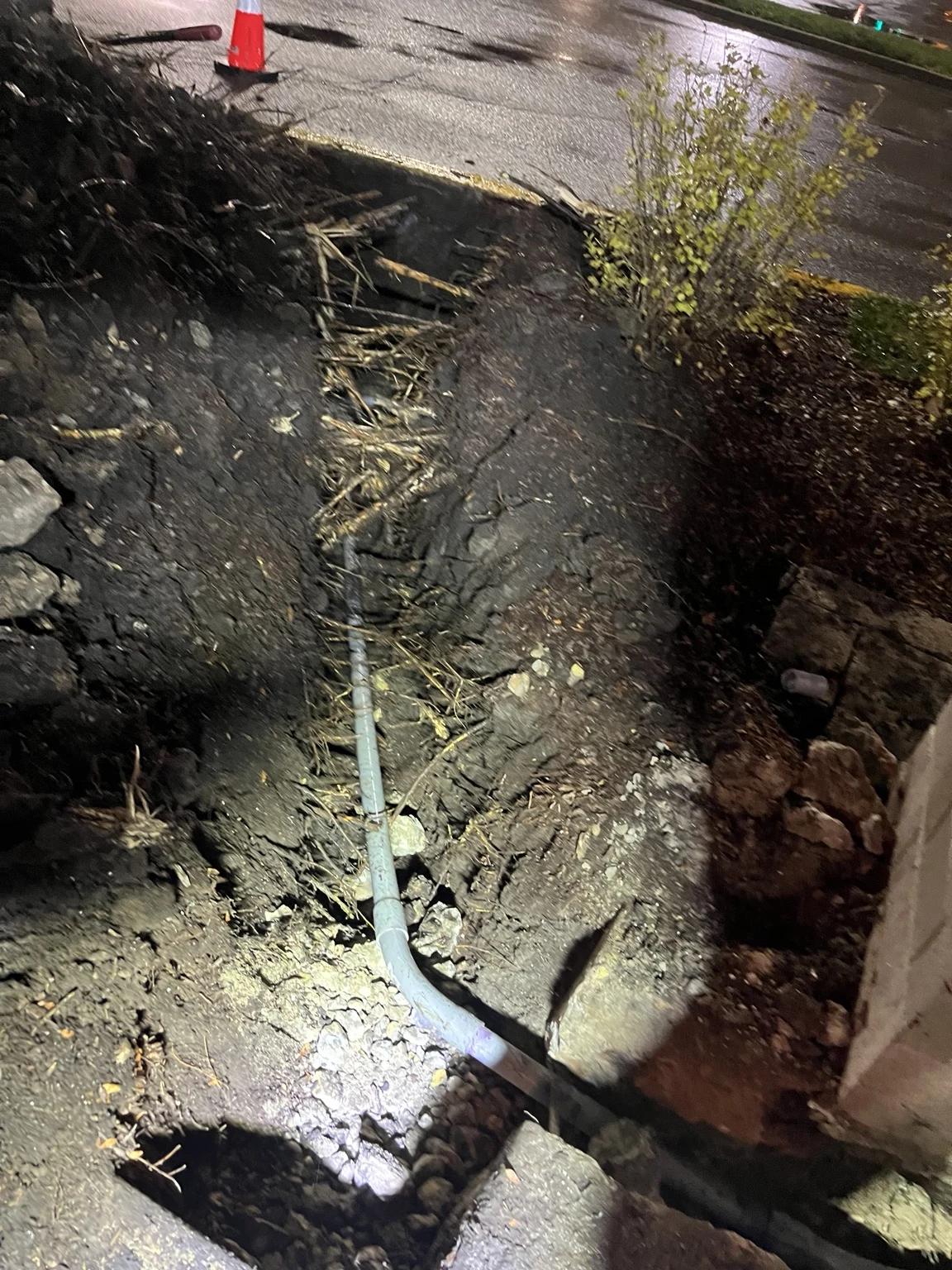 Exposed PVC conduit within the excavated planting area.